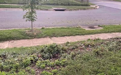 Photo of Larry S.'s yard after getting landscaping in Broad Run, VA