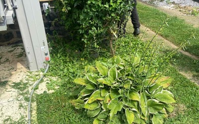 Photo of Robert D.'s yard after getting landscaping in Elmer, NJ