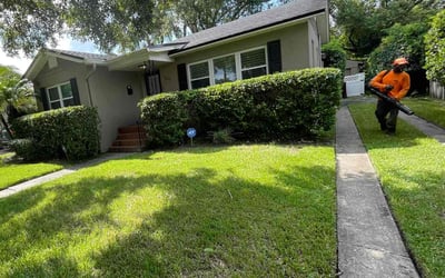 Photo of Emilia V.'s yard after getting landscaping in Zellwood, FL