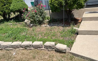 Photo of Nina B.'s yard after getting landscaping in Joliet, IL
