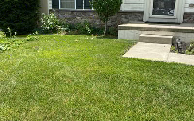 Photo of Kim N.'s yard after getting landscaping in Sewell, NJ