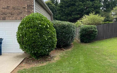Photo of Carol C.'s yard after getting landscaping in Auburn, GA