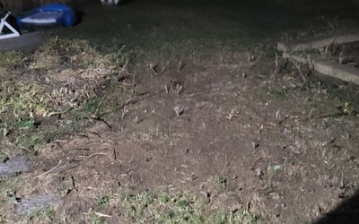 Photo of Chris B.'s yard after getting landscaping in Marine On Saint Croix, MN