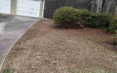 Photo of Karen L.'s yard after getting tree care in Lawrenceville, GA