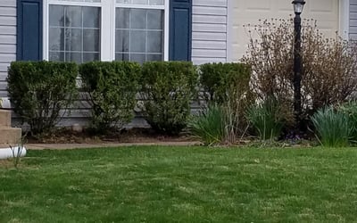 Photo of Matt J.'s yard after getting landscaping in Sunderland, MD