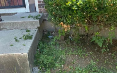 Photo of Jessica G.'s yard after getting landscaping in Linwood, KS