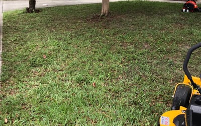 Photo of Mike J.'s yard after getting landscaping in Polk City, FL