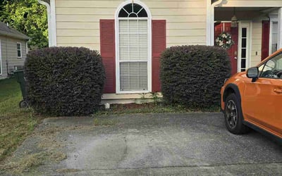 Photo of Sam M.'s yard after getting landscaping in Pelham, AL