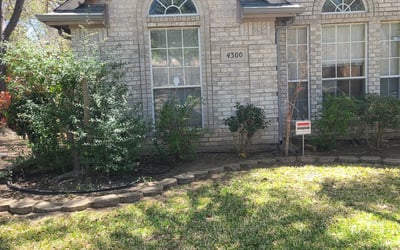 Photo of Erin C.'s yard after getting landscaping in Weston, TX