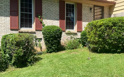 Photo of Sheri B.'s yard after getting tree care in Jasper, GA