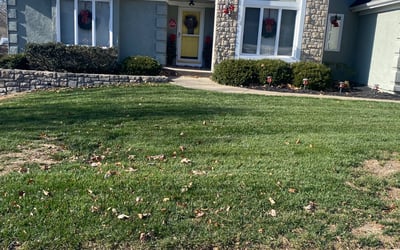 Photo of Jackie W.'s yard after getting landscaping in Lacygne, KS