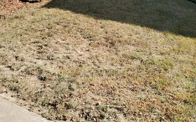 Photo of Jennifer N.'s yard after getting landscaping in Lees Summit, MO