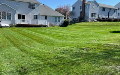 Photo of Danielle S.'s yard after getting lawn care in Newington, CT