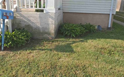 Photo of Jason K.'s yard after getting tree care in Saint Louis, MO