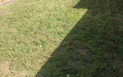 Photo of Renee D.'s yard after getting landscaping in Arvada, CO