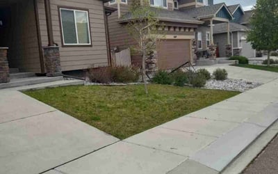 Photo of Satoshi Y.'s yard after getting tree care in Louisville, CO