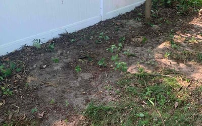 Photo of Vanessa G.'s yard after getting landscaping in Middletown, NY