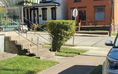 Photo of Reina M.'s yard after getting lawn care in Carlisle, PA