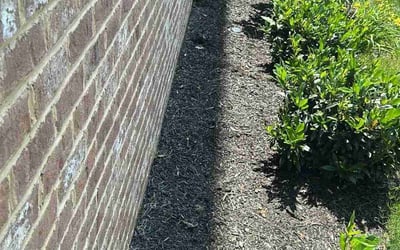 Photo of efua t.'s yard after getting landscaping in Frederick, MD