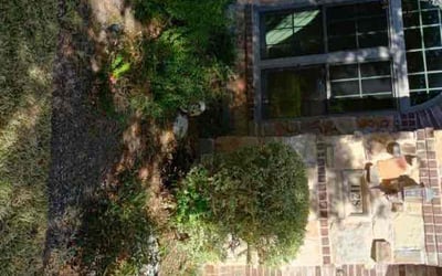 Photo of Cindy E.'s yard after getting landscaping in Mc Neil, TX