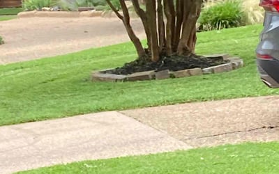 Photo of Jennifer B.'s yard after getting landscaping in Mesquite, TX