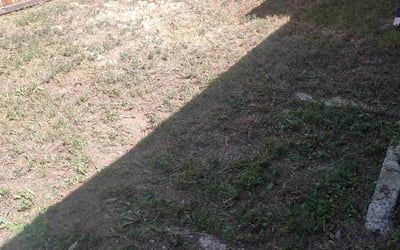 Photo of Renee D.'s yard after getting landscaping in Arvada, CO