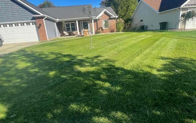 Photo of Paula H.'s yard after getting lawn care in Eastlake, OH