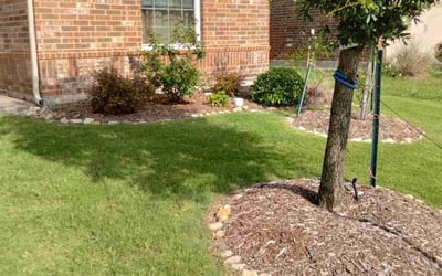 Photo of Dana W.'s yard after getting landscaping in Princeton, TX