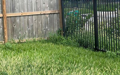 Photo of Anna B.'s yard after getting landscaping in Houston, TX
