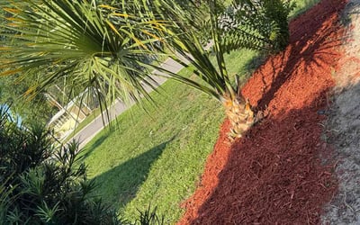 Photo of Kimberly S.'s yard after getting tree care in Geneva, FL