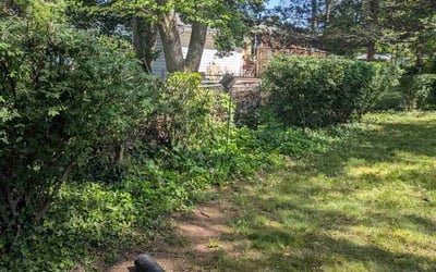 Photo of Carolyn S.'s yard after getting landscaping in Herndon, VA