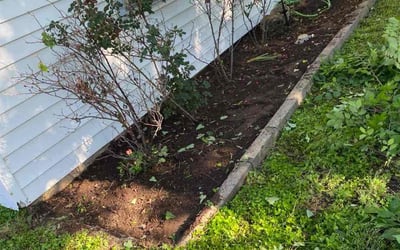 Photo of David S.'s yard after getting landscaping in Alvord, TX