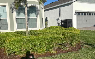 Photo of John D.'s yard after getting landscaping in Montverde, FL