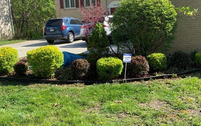 Photo of Annette B.'s yard after getting landscaping in Homer Glen, IL