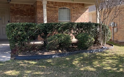 Photo of Chris E.'s yard after getting landscaping in Glen Rose, TX