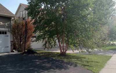 Photo of Nicole R.'s yard after getting landscaping in Becker, MN