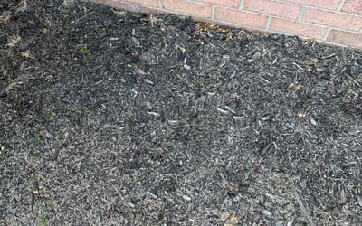 Photo of Karen L.'s yard after getting landscaping in Senatobia, MS