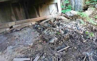 Photo of Tracy S.'s yard after getting landscaping in Pleasanton, KS