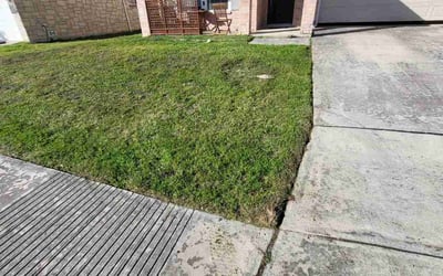 Photo of Megan M.'s yard after getting landscaping in Lackland A F B, TX