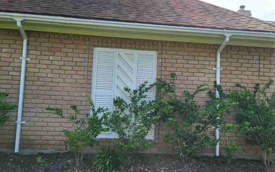 Photo of Javier V.'s yard after getting landscaping in Richmond, TX