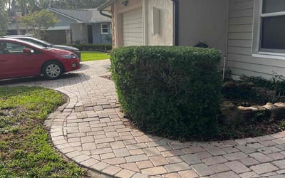 Photo of Michelle K.'s yard after getting landscaping in Safety Harbor, FL