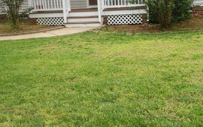 Photo of Matt S.'s yard after getting landscaping in Ruthville, VA
