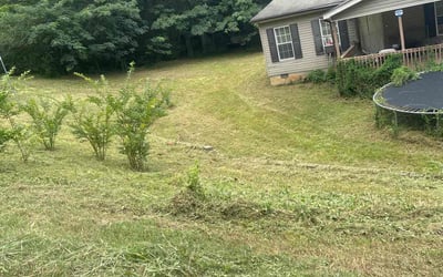 Photo of Paul C.'s yard after getting tree care in Chattanooga, TN