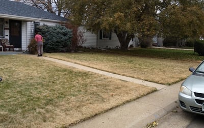 Photo of Diane M.'s yard after getting landscaping in Black Hawk, CO