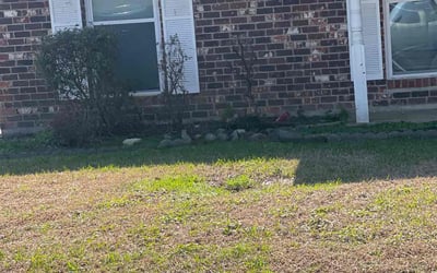 Photo of Vanisha A.'s yard after getting landscaping in Holden, LA