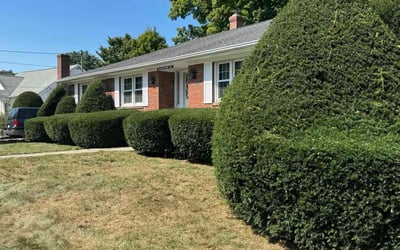 Photo of Jeb B.'s yard after getting lawn care in East Longmeadow, MA