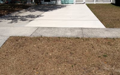 Photo of Jeniffer D.'s yard after getting landscaping in Clearwater Beach, FL