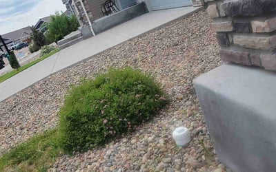 Photo of Jennifer F.'s yard after getting landscaping in Colorado Springs, CO