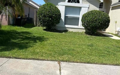 Photo of Melanie R.'s yard after getting landscaping in Tangerine, FL