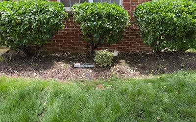 Photo of Mary S.'s yard after getting landscaping in Gainesville, VA